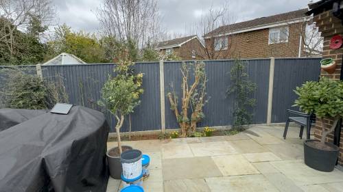 Garden fence — sprayed & restained — after