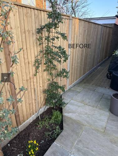 Garden fence — sprayed & restained — before